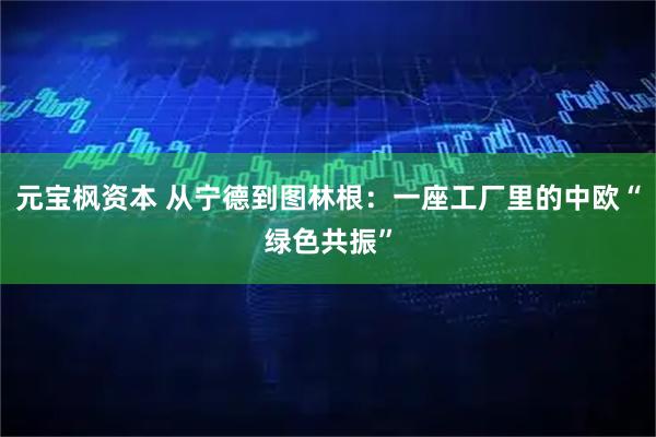元宝枫资本 从宁德到图林根：一座工厂里的中欧“绿色共振”