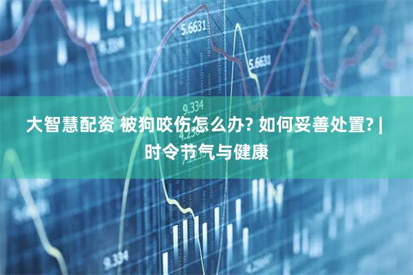 大智慧配资 被狗咬伤怎么办? 如何妥善处置? | 时令节气与健康