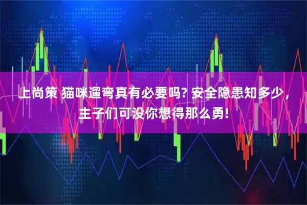 上尚策 猫咪遛弯真有必要吗? 安全隐患知多少，主子们可没你想得那么勇!